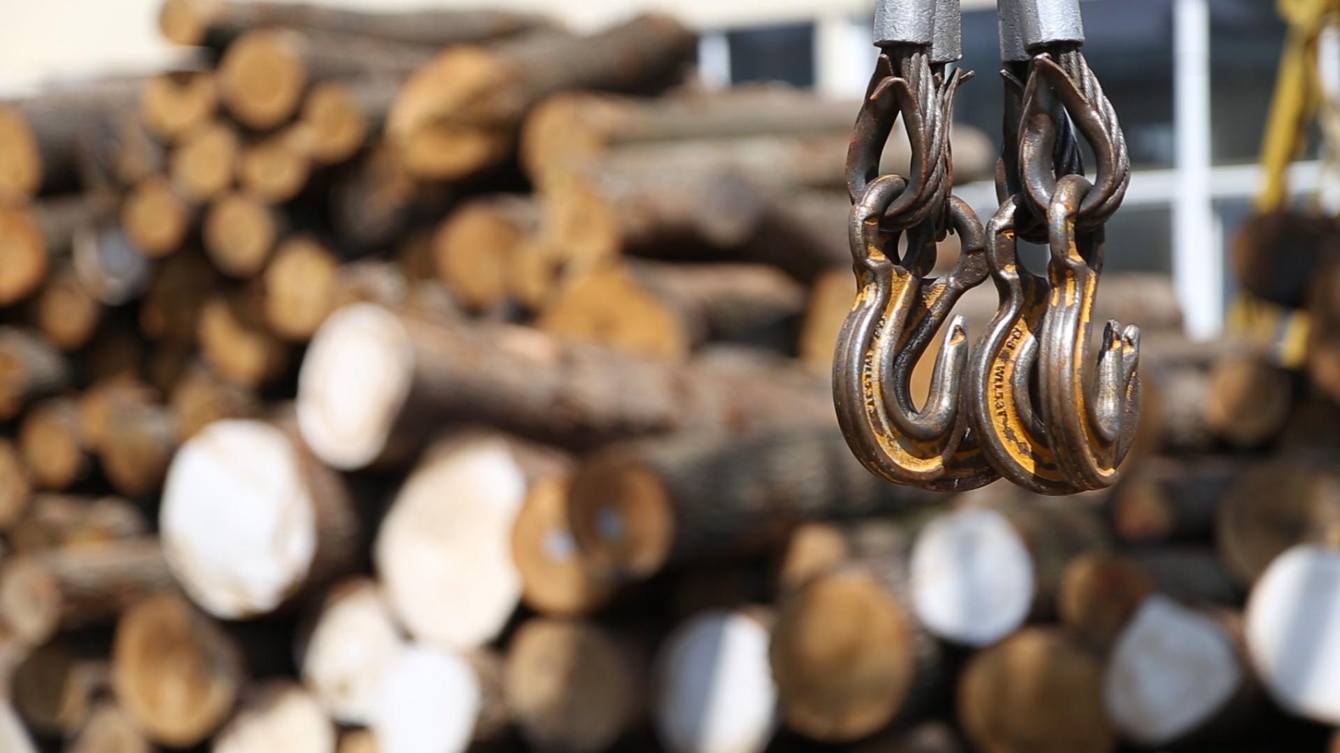 Скасування правил торгівлі сировиною призведе до блокування ринку деревини