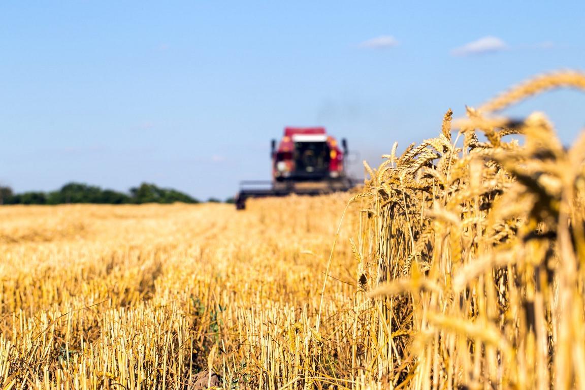 В Україні величезний дефіцит агрономів