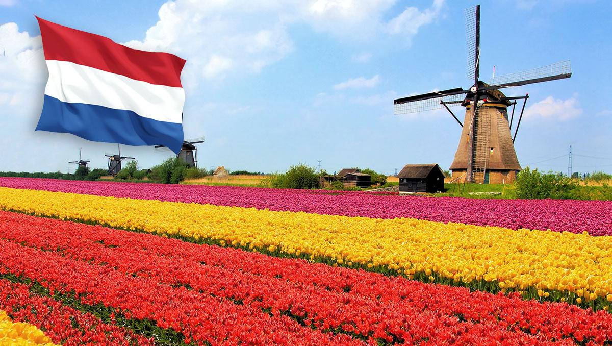 Україна та Нідерланди домовилися про співпрацю у сфері сільського господарства — АГРОПОЛІТ