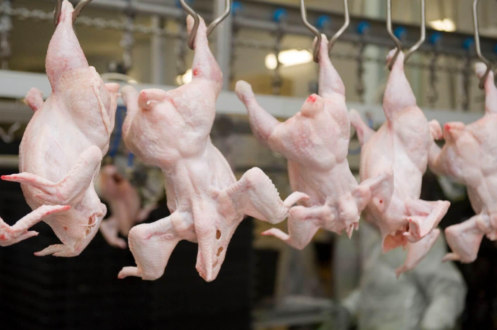 Україна потрапила в трійку світових лідерів з експорту м'яса птиці до ЄС