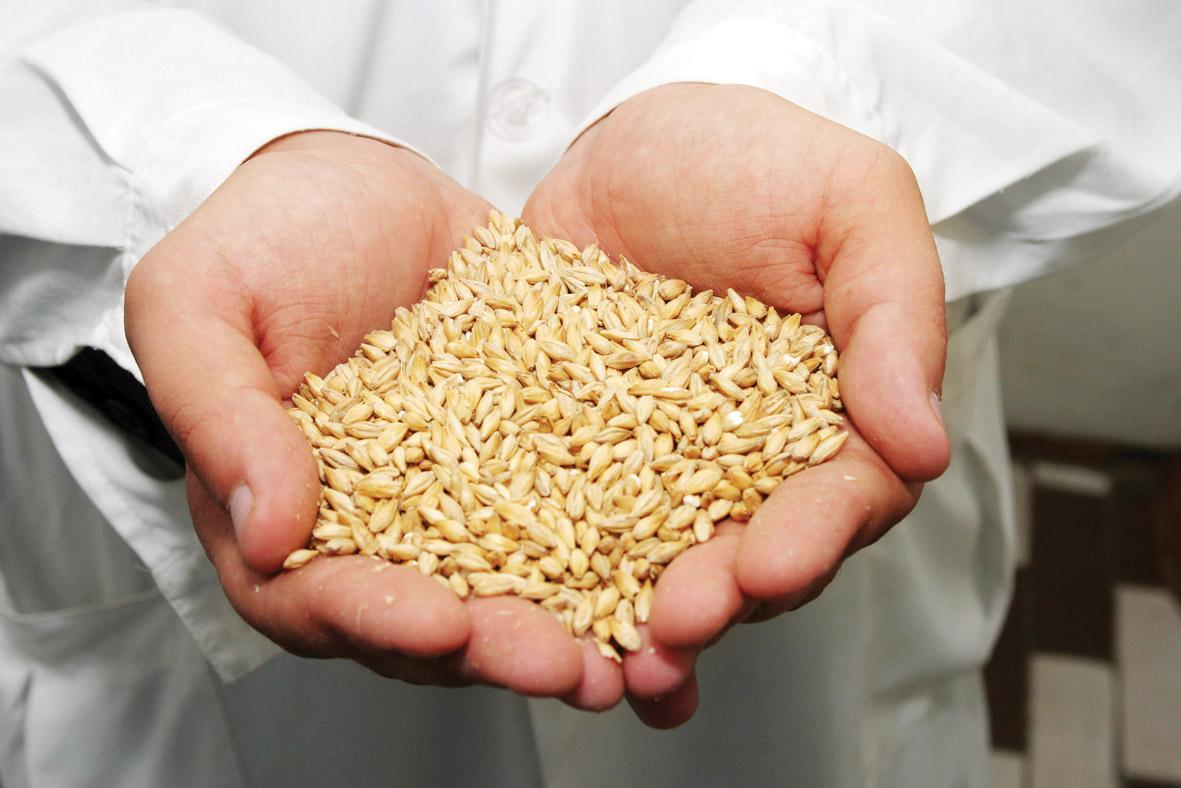 Аграрії вже експортували 1,5 млн т зерна нового врожаю