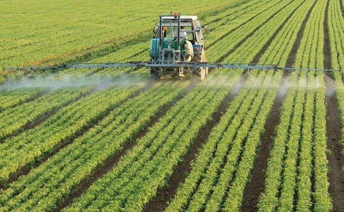 Знайшли 7 міфів у законопроекті №6606 про ввіз в Україну незареєстрованих пестицидів 
