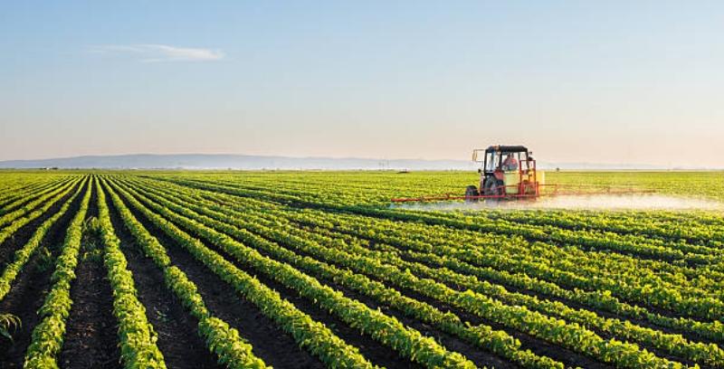 Законопроект, який дозволяє ввіз пестицидів без реєстрації, поглибить дерегуляцію на ринку, – експерт   