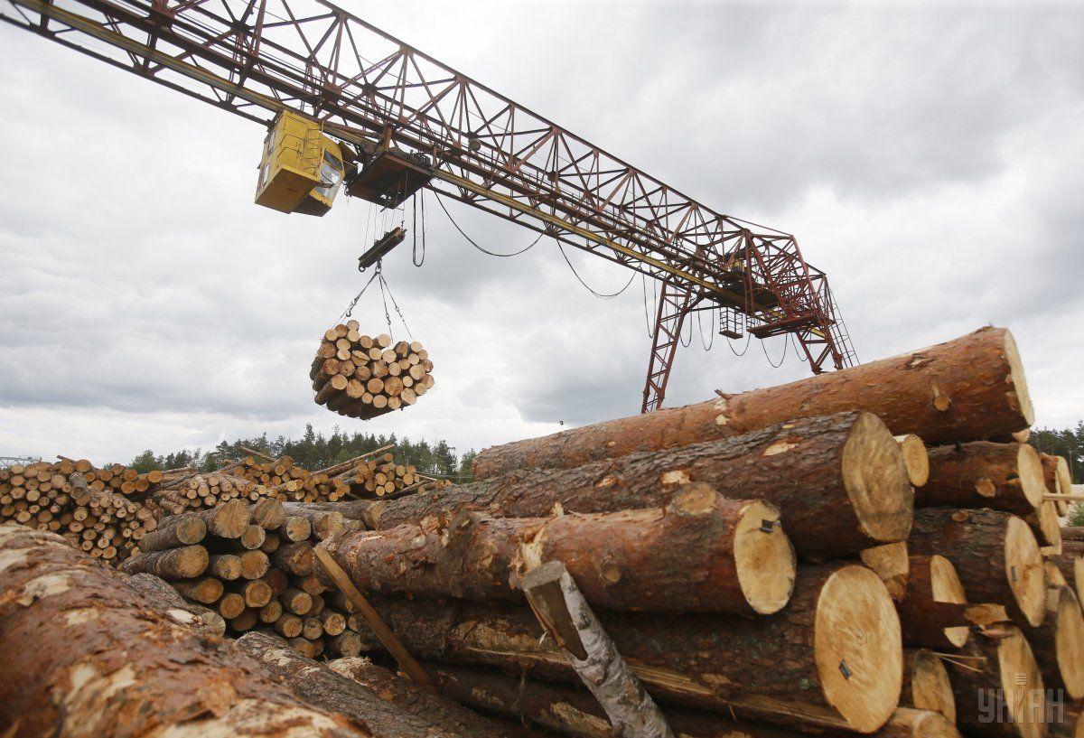 ЄБА запропонувала уряду кроки для реформування деревообробної галузі  