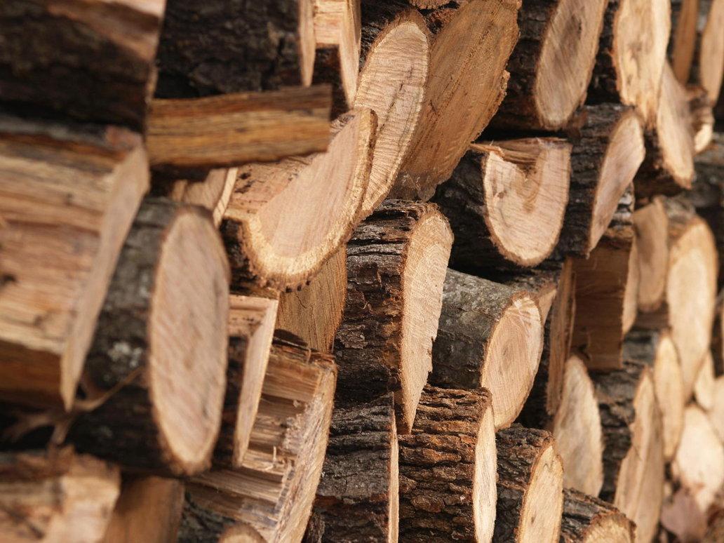 У ДФС заявили про скорочення експорту деревини