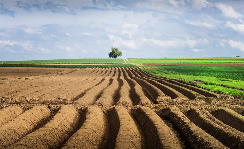 Фермери володіють 10% всіх аграрних земель в Україні