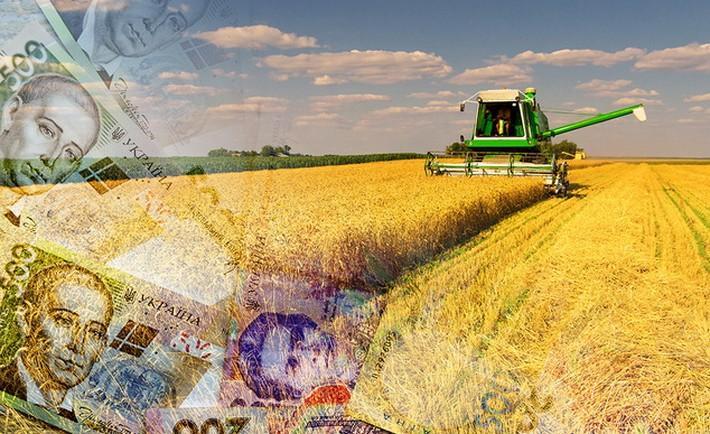 В Україні значно покращився аграрний бізнес-клімат – дослідження