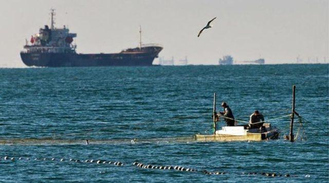 Скільки коштує година простою судна в Азовському морі, – експерт 