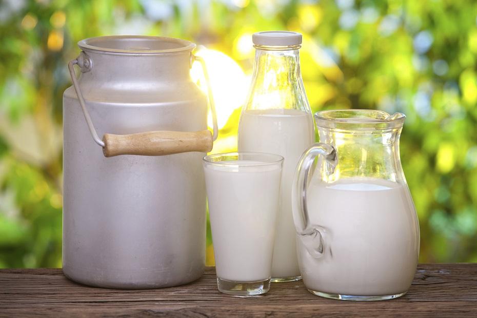 У 2018 році прибутковість молока знизилася на 13% – ФАО 