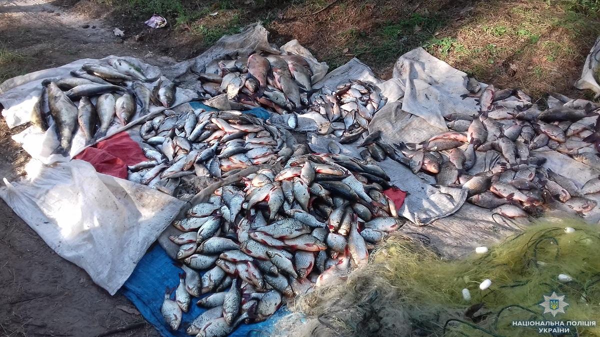 Кабмін пропонує посилити штрафи і відповідальність за порушення вилову риби