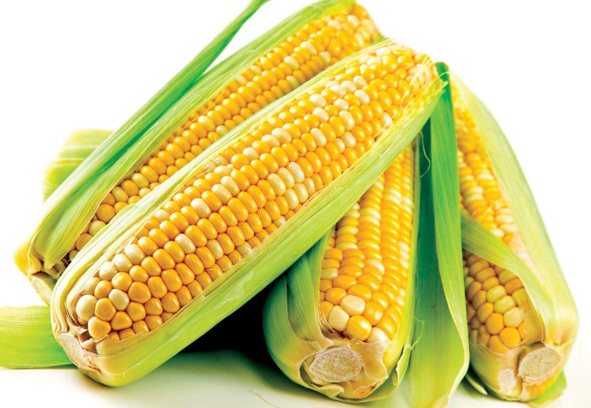 Мінсільгосп США підвищив прогноз експорту кукурудзи з України