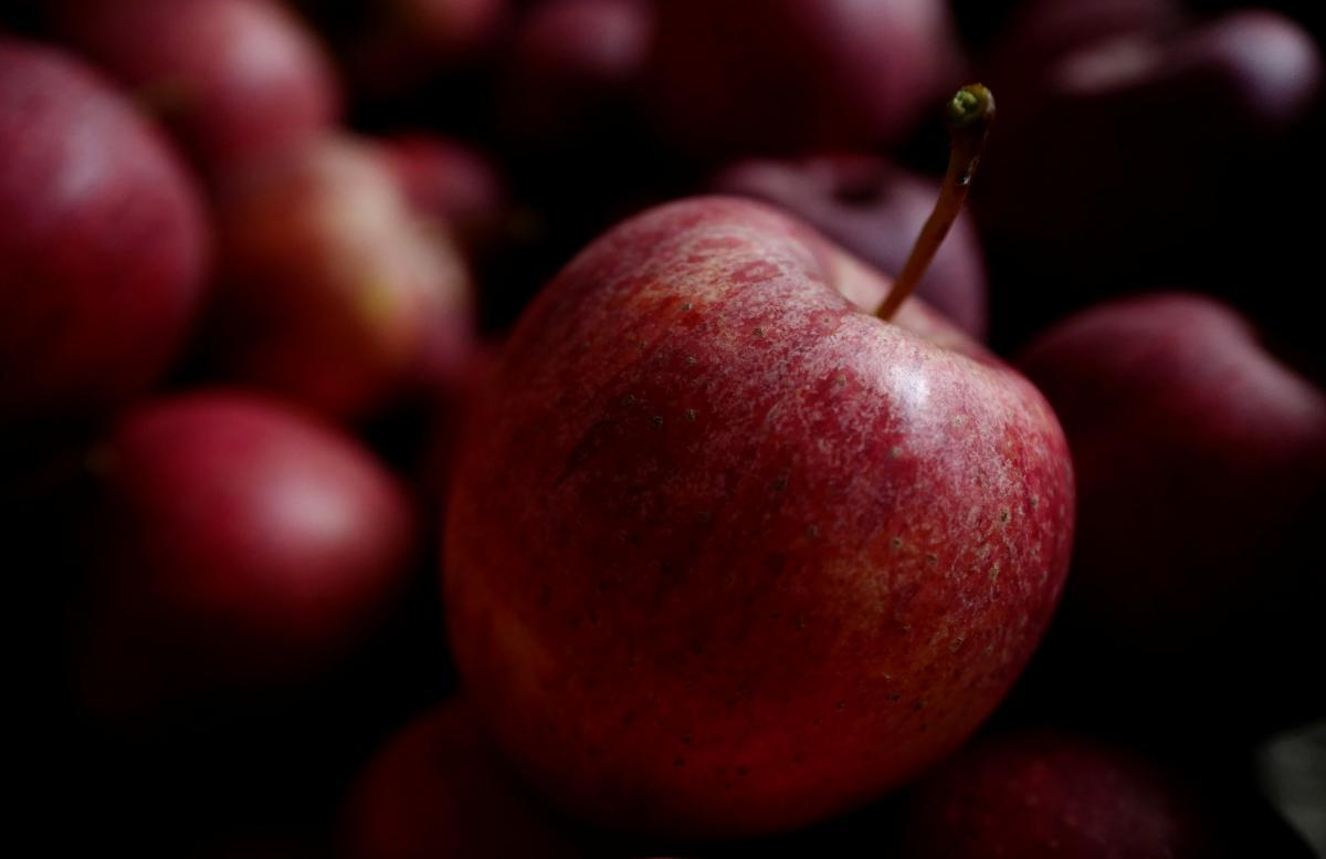 Індія відкрила свій ринок для українських яблук