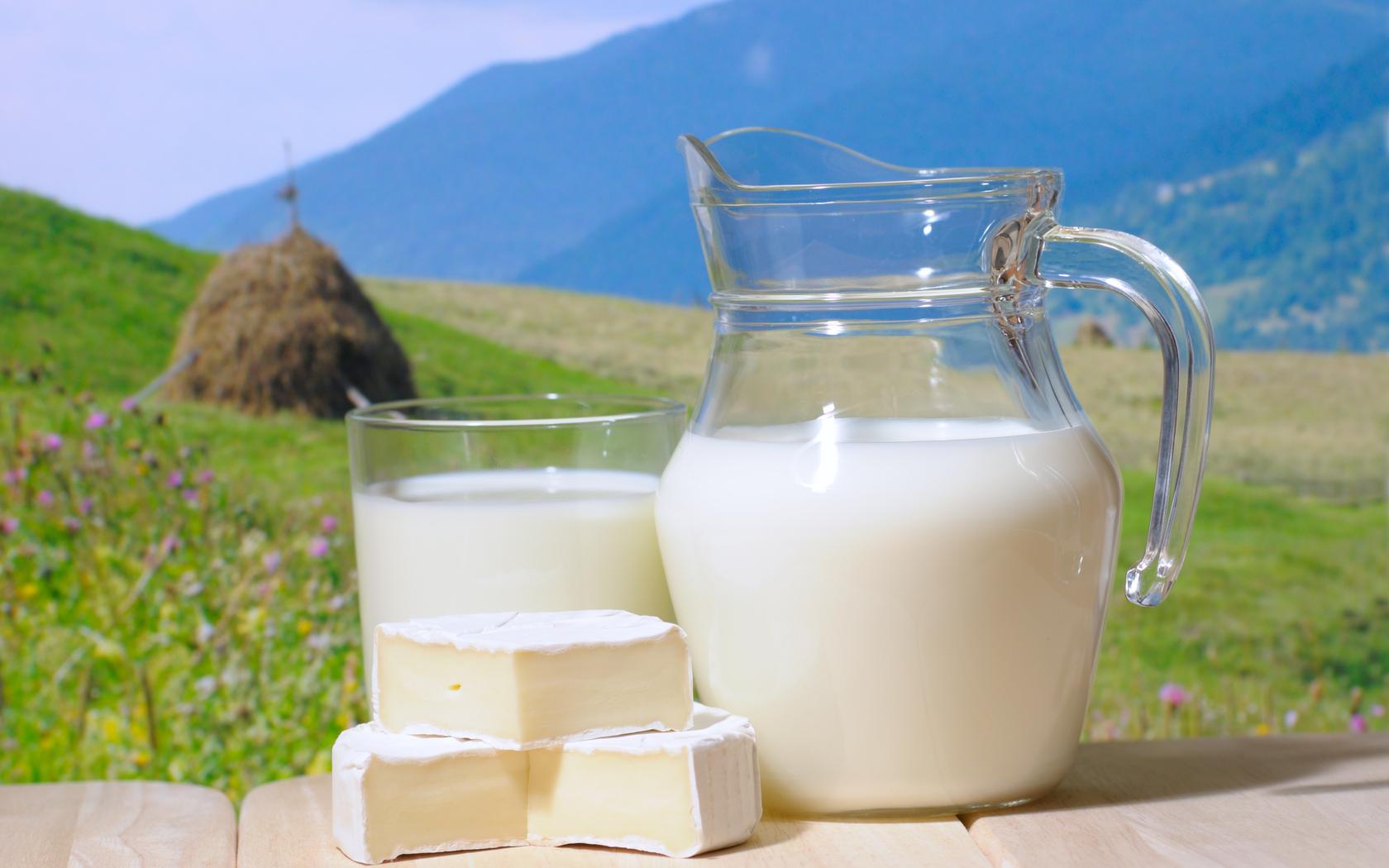 В Україні пропонують знизити ставку ПДВ на молочні продукти