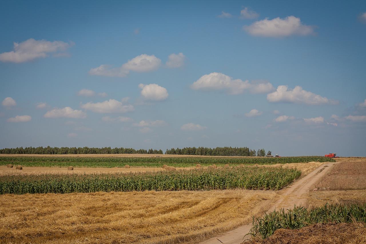 Губернатор Полтавщини звинуватив фермерів у захопленні земель
