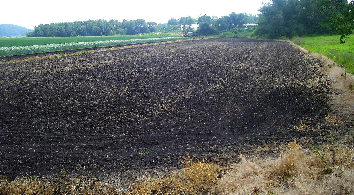 Аграріям допоможуть зупинити деградацію українських ґрунтів