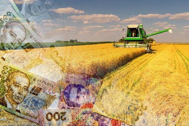 Держпідтримка сільгосптоваровиробників має стати цільовою й адресною  – Інститут аграрної економіки