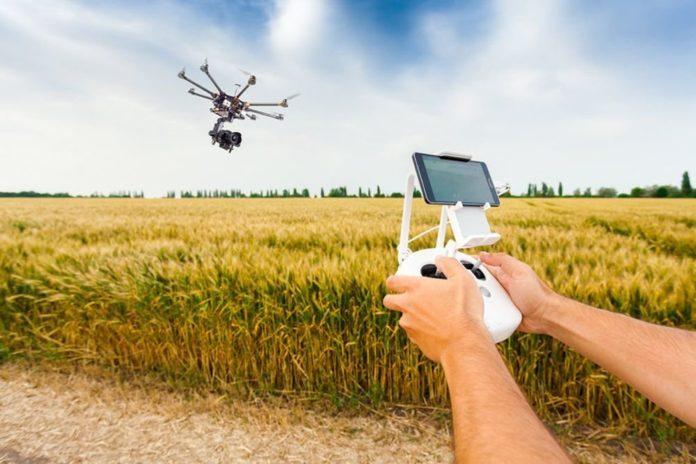  40% ринку дронів припадає на агросектор