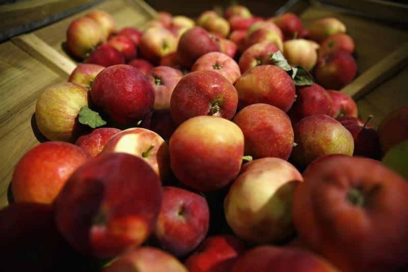 Україна зменшила експорт яблук через критично низькі ціни на них