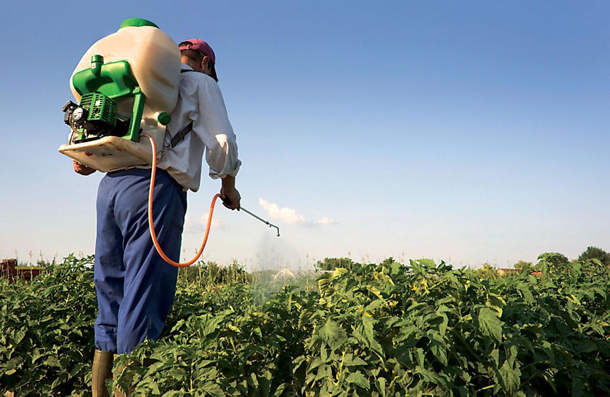 Кабмін спростив правила ввезення незареєстрованих пестицидів і агрохімікатів