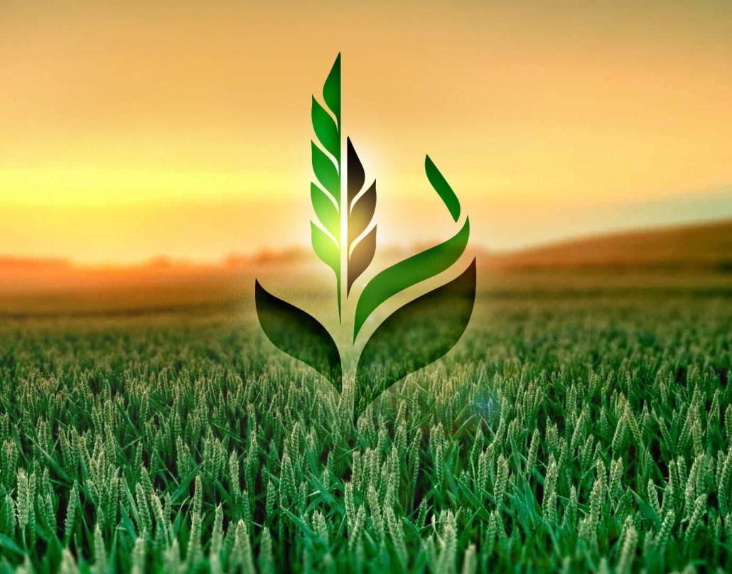 Аграрний фонд запровадив програму обміну міндобрив на зерно