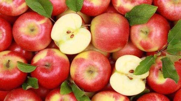 Україна вперше експортувала яблука до п'яти країн Близького Сходу за один місяць