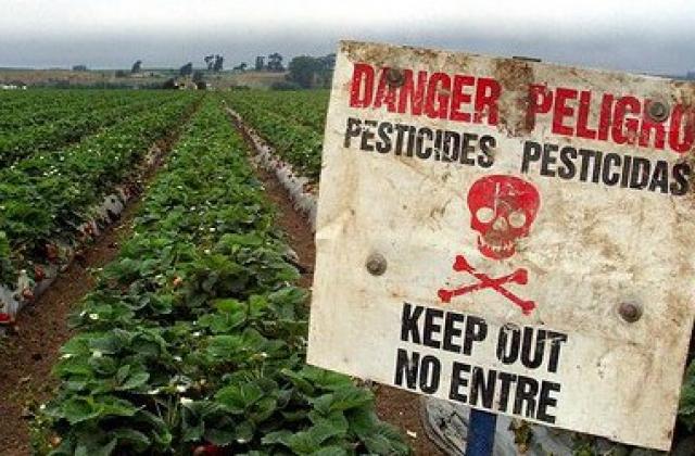 В Україні спростили порядок ввезення незареєстрованих пестицидів