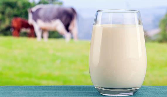 Як новий стандарт щодо якості молока вплине на селян: важливі деталі