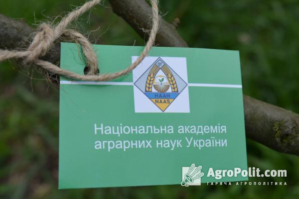 Аграрна академія оголосила планові конкурси по дев’яти господарствах 