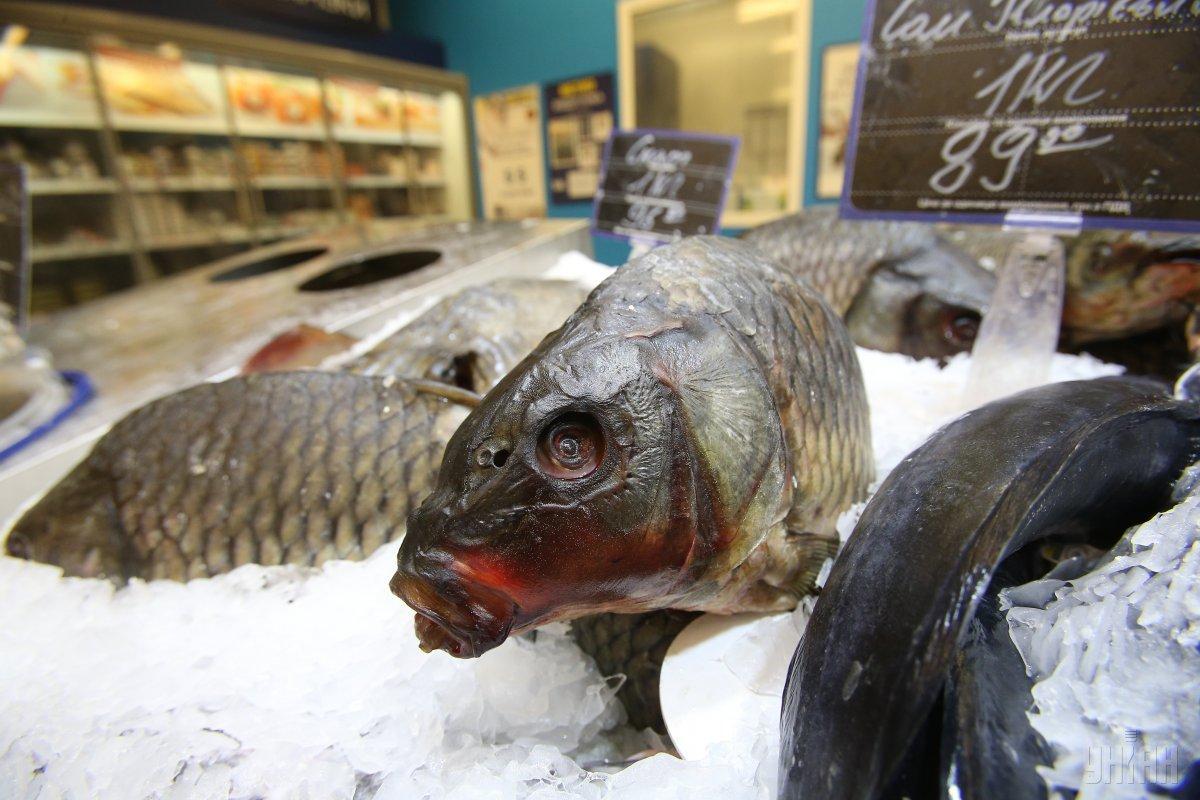 В Україні за рік виловили майже 62 тис. т риби 