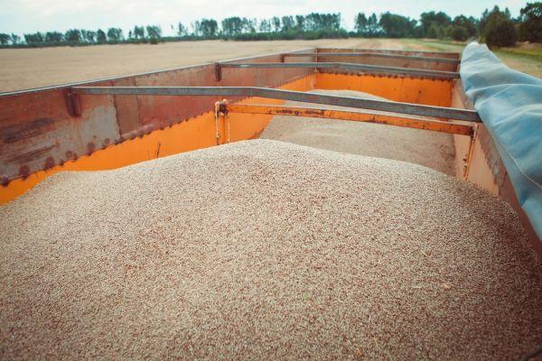 Низькі ціни на фрахт зерновозів загрожують протестами перевізників