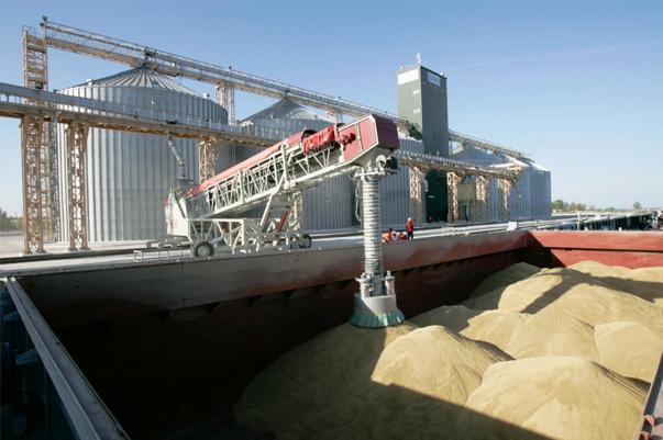  У січні порти України  збільшили перевалку зерна – АМПУ 