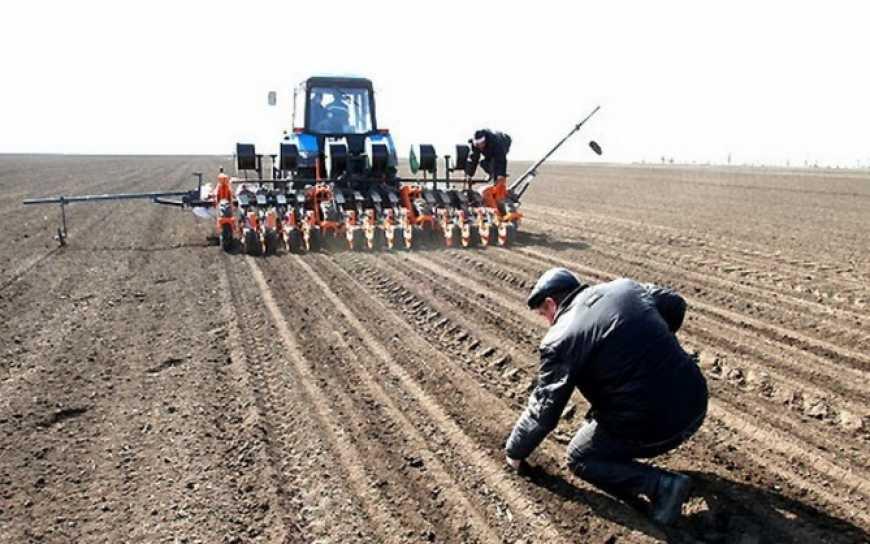 Політик підготував аграріям України посівний календар на 2019 рік