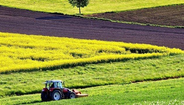 Нардепи запропонували 4 варіанти поетапного відкриття ринку землі в Україні