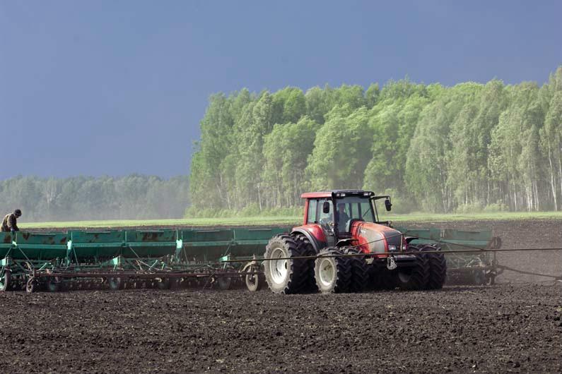 В Україні засіяно 2 млн га ранніми зерновими