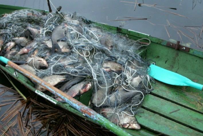Рибоохоронний патруль затримав в Чорному морі браконьєра із майже 600 кг риби