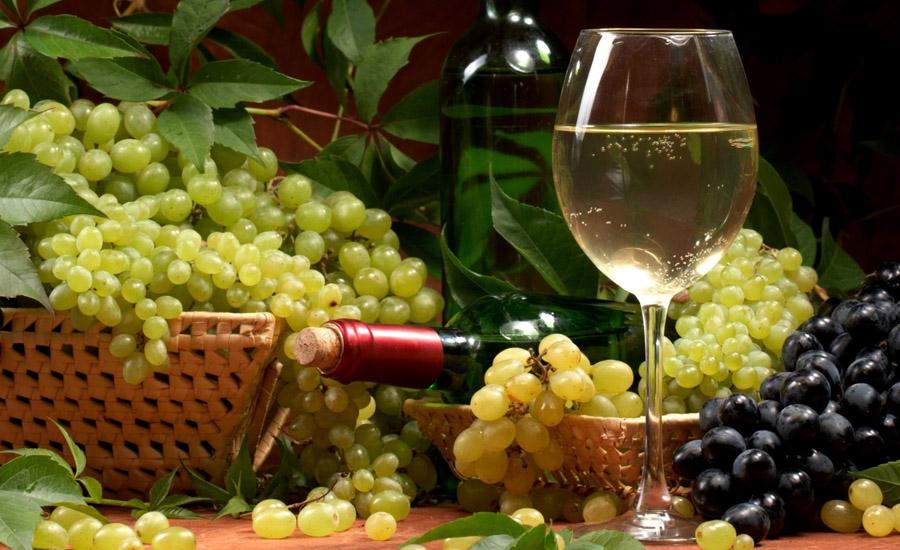 На Одещині розпочала роботу Асоціація виноградарів й виноробів