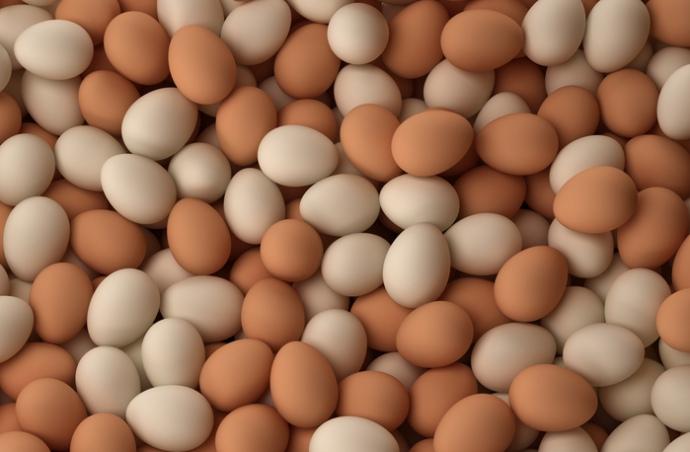 Великий український виробник яєць відкрив «дочку» в Дубаї