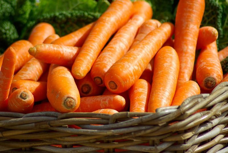 На українських ринках з’явилася перша морква врожаю-2019 