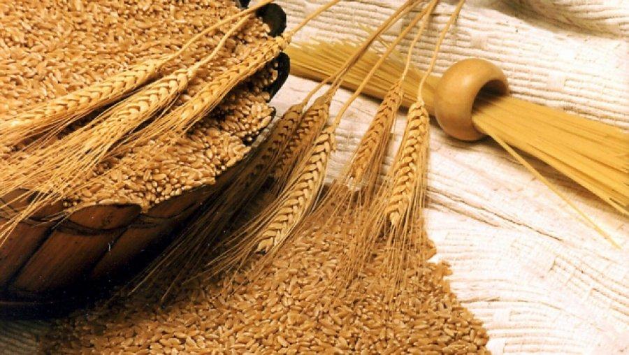 Експорт зерна перевищив 48 млн т