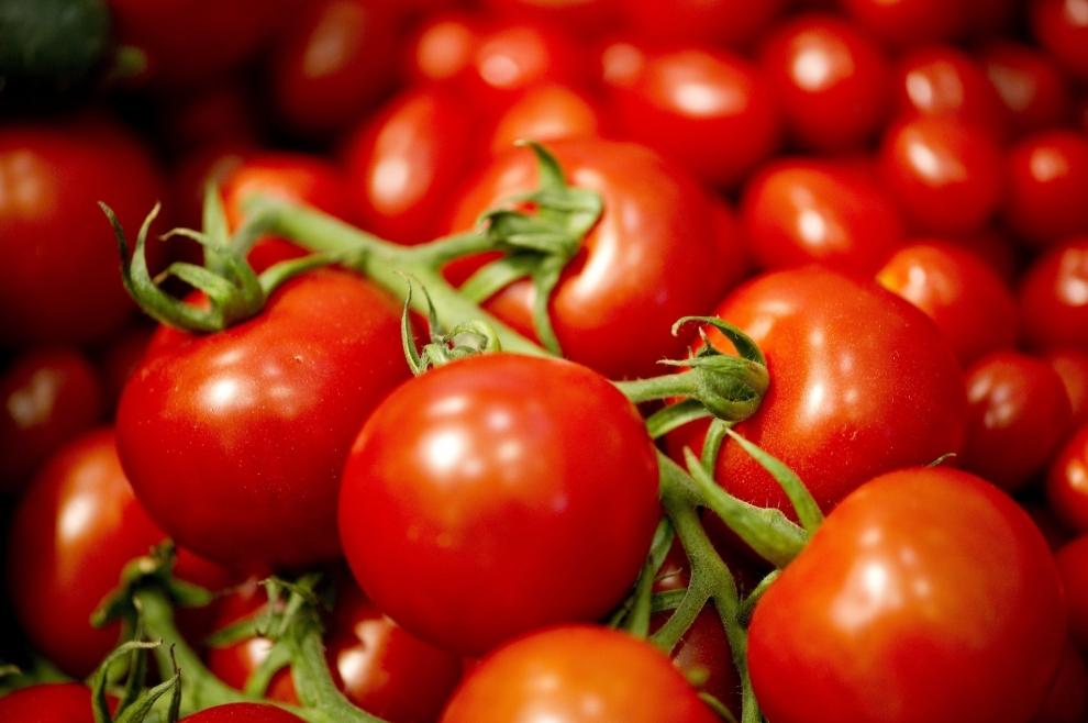 Уряд може збільшити квоти на експорт виробникам томатів 