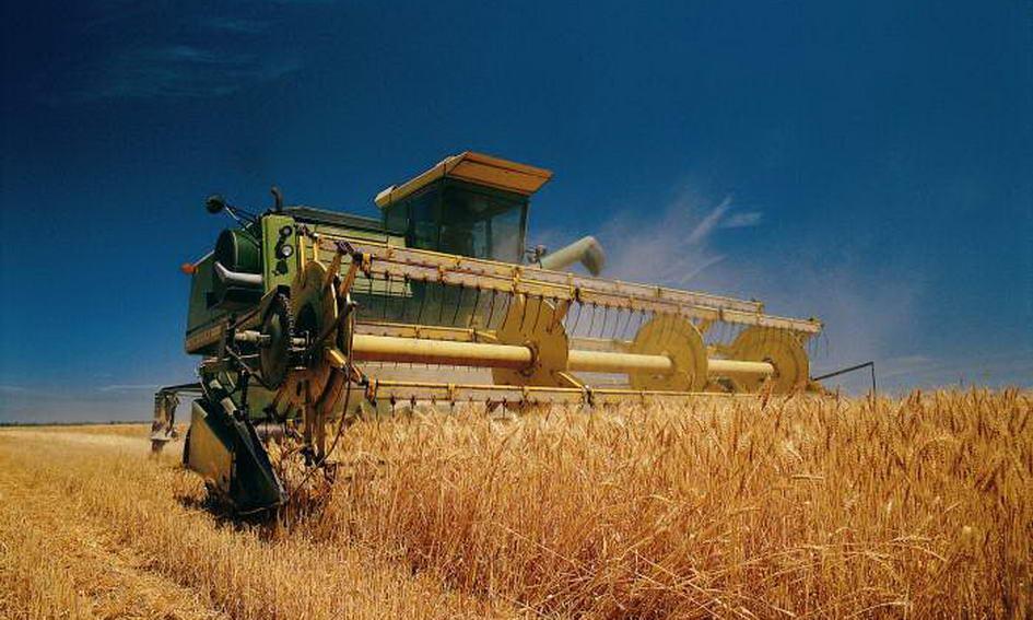 Аграрії зібрали 2,7 млн т зерна нового врожаю