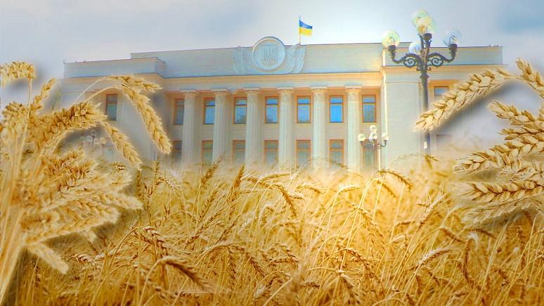 До Верховної Ради проходить 45 аграрних депутатів: перелік та коротке досьє на кожного
