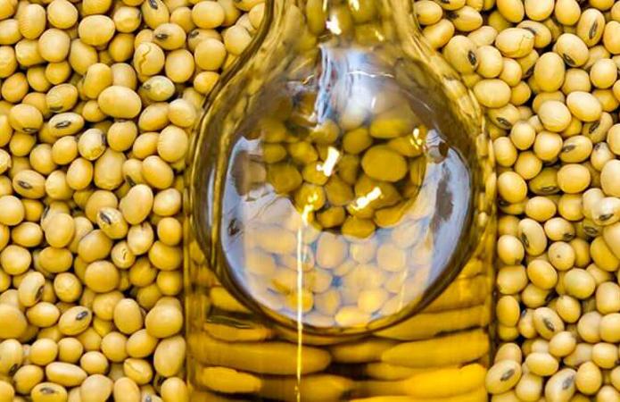 Україна на 81% збільшила експорт соєвої олії