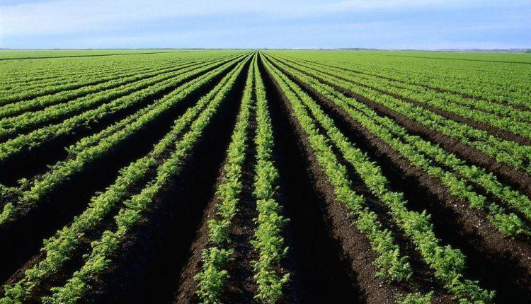 Україні слід створити агентство гарантування витрат фермерів на купівлю землі, – Світовий банк 