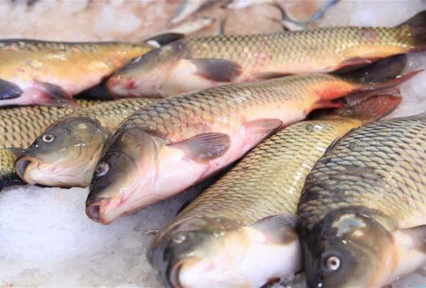 Протягом семи місяців 2019 року експортовано понад 2 тис. т готової та консервованої риби