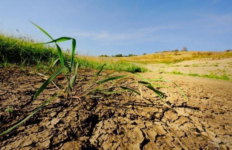 Українські ґрунти деградують через експлуатацію їх орендарями, – експерт 