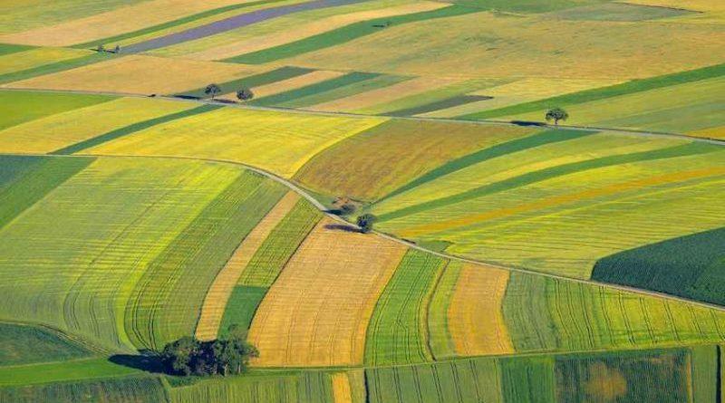 В Україні внесли до кадастру дані про 30,4 млн га сільськогосподарських земель