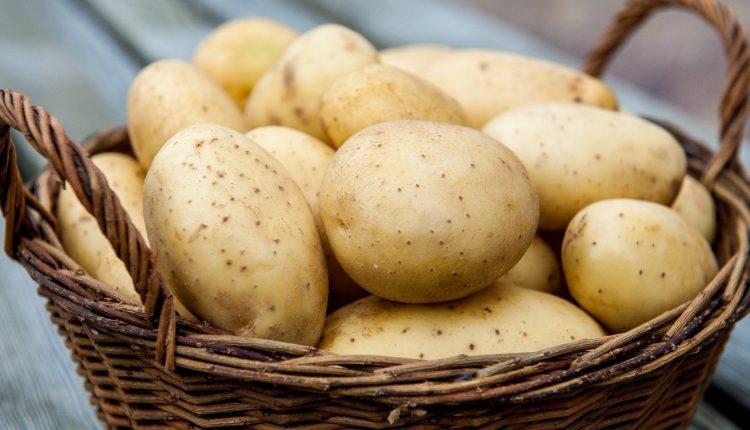 Україна наростила імпорт білоруської картоплі