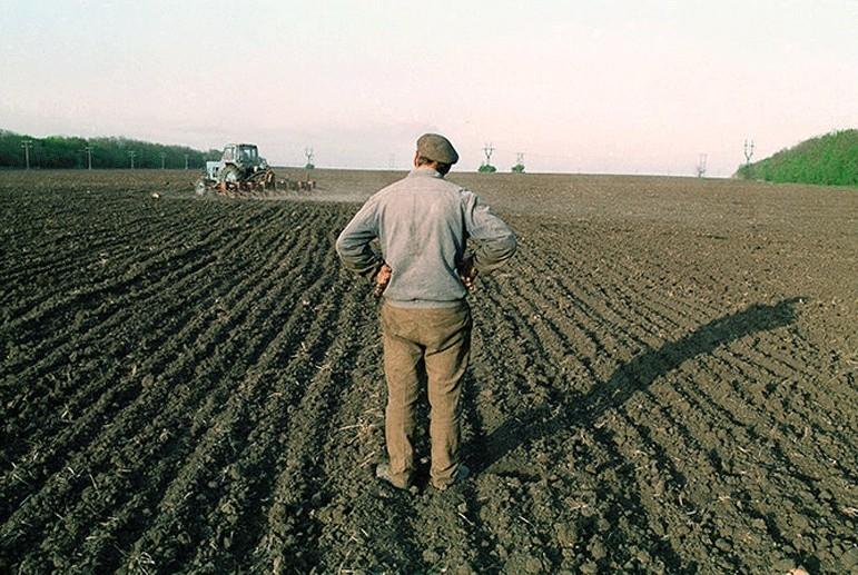 В Україні створять е-реєстр фермерів для надання пільгових кредитів на купівлю землі