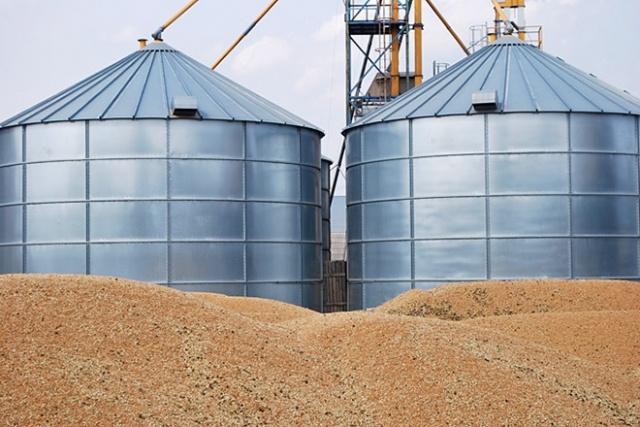  В Україні відкрили дані про обсяги зерна на всіх елеваторах